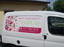 Magnolia - Peugeot Partner